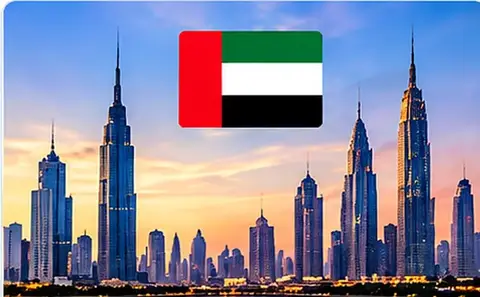 UAE NRI investing guides for India