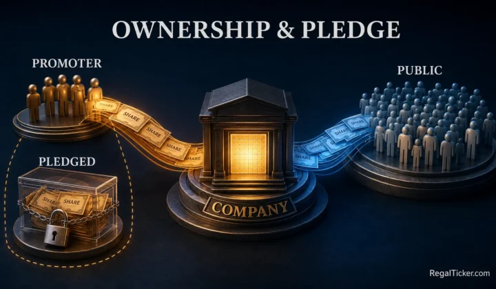 Promoter holding public shareholding and pledged shares in an Indian listed company